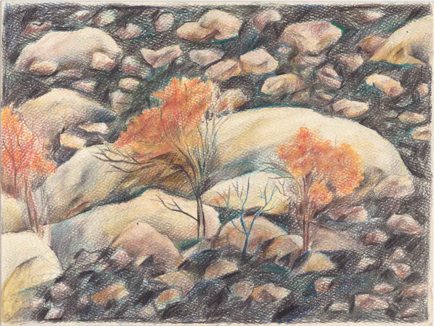 Natural Fire Break